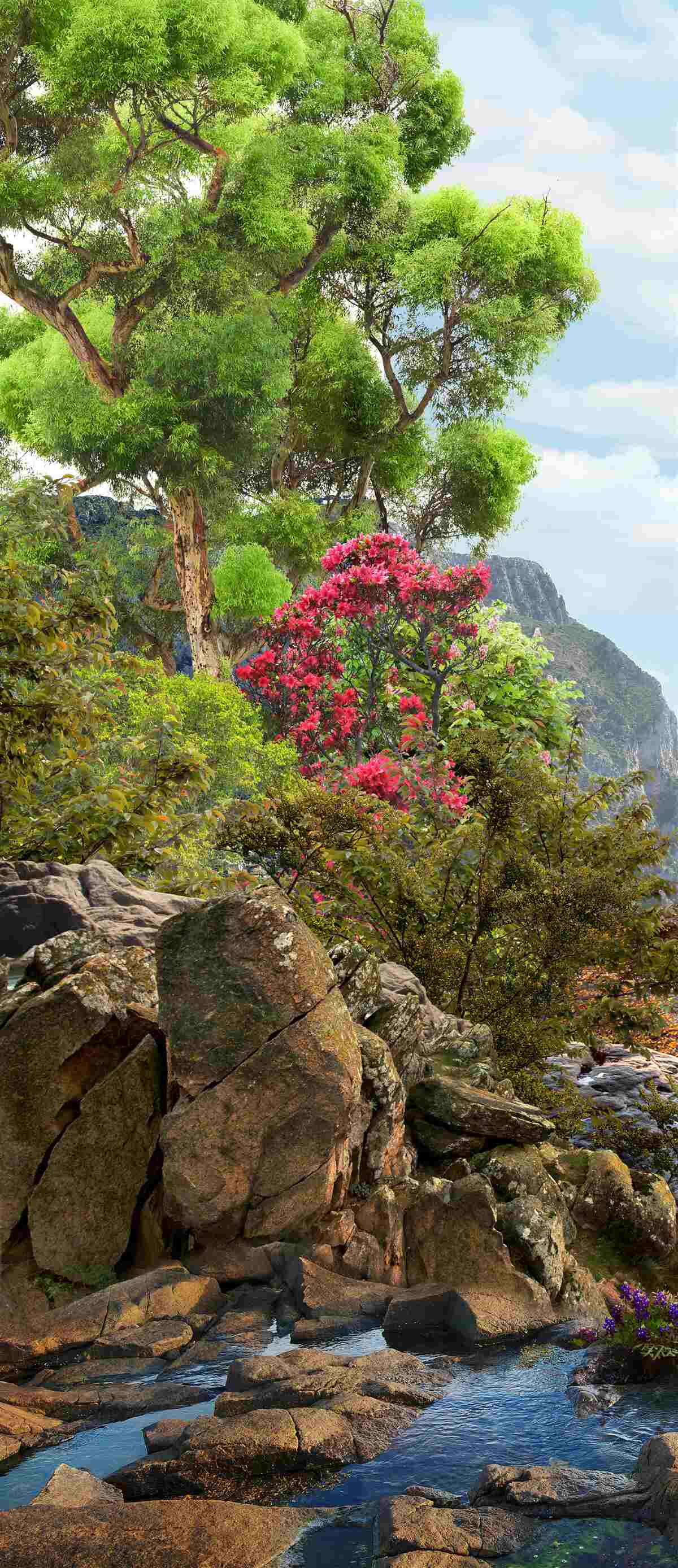 Fotobehang gras en bergbeek