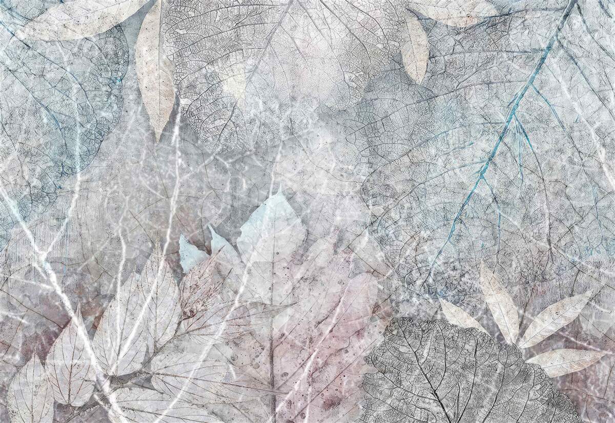 Fotobehang verzameling gedroogde planten op grijze achtergrond