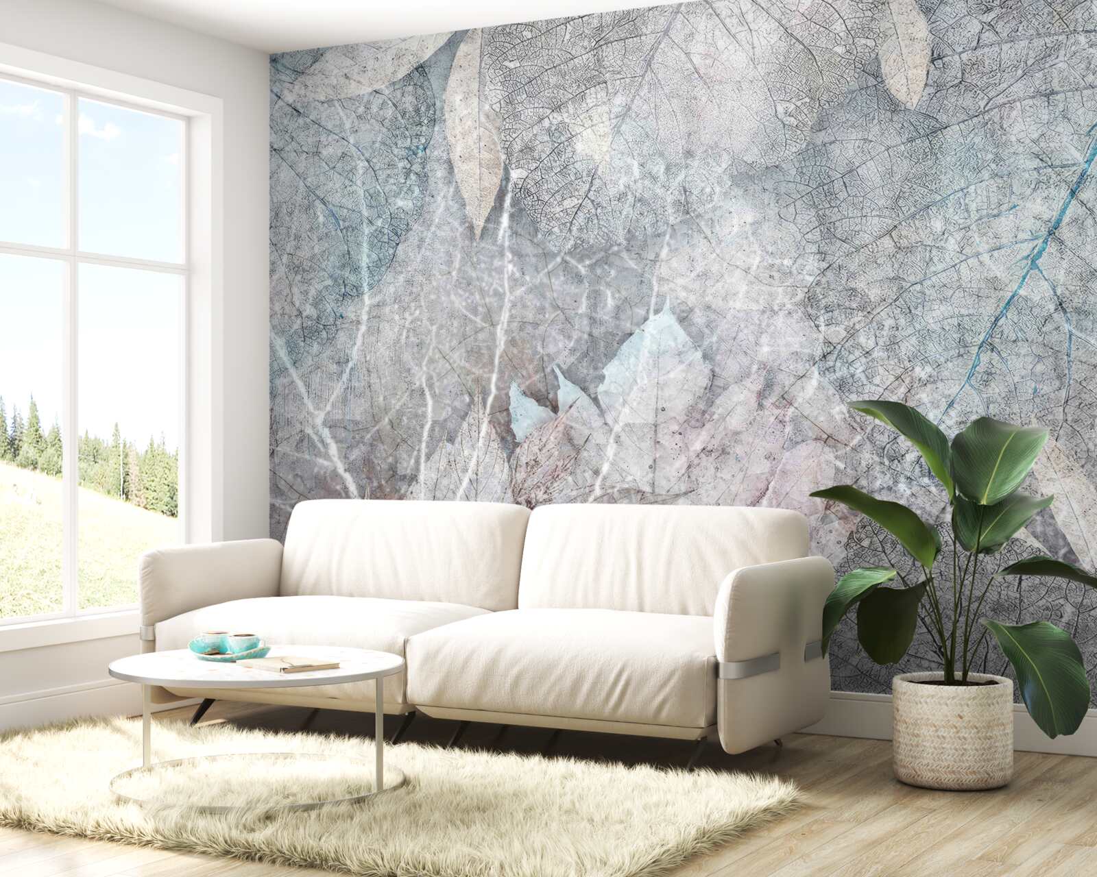 Fotobehang verzameling gedroogde planten op grijze achtergrond