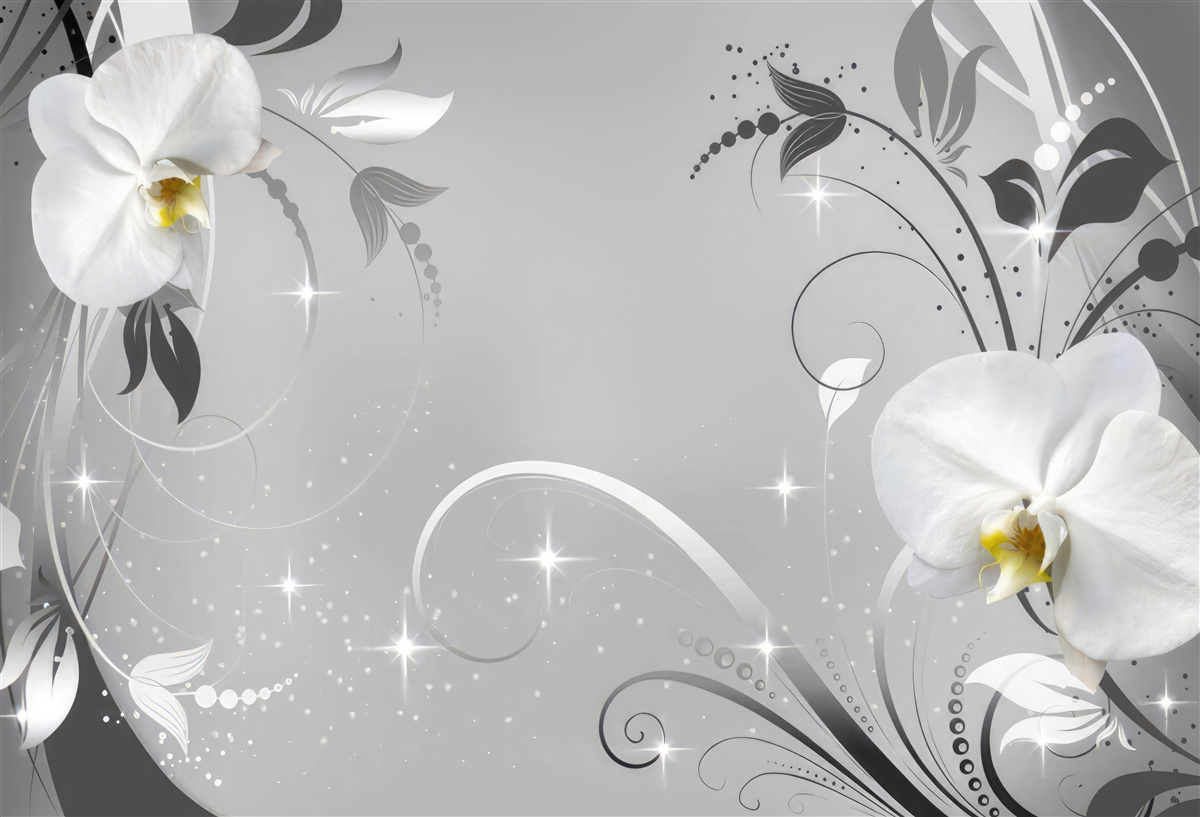 Fotobehang witte orchideeën en grijze bladeren