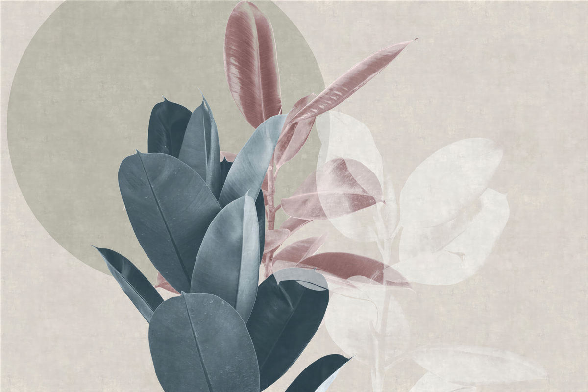 Fotobehang vijgenboom tegen een grijze muur