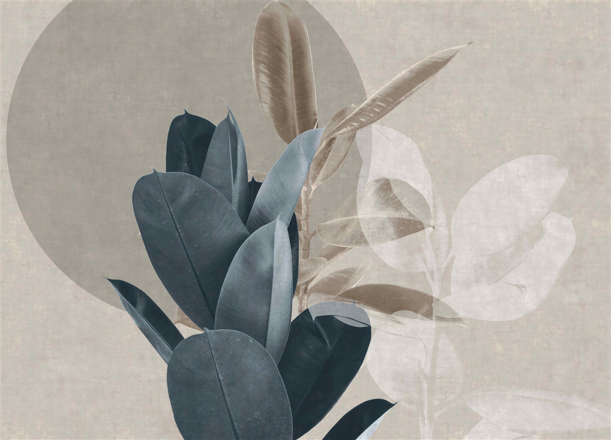 Fotobehang kamerplant bij de muur