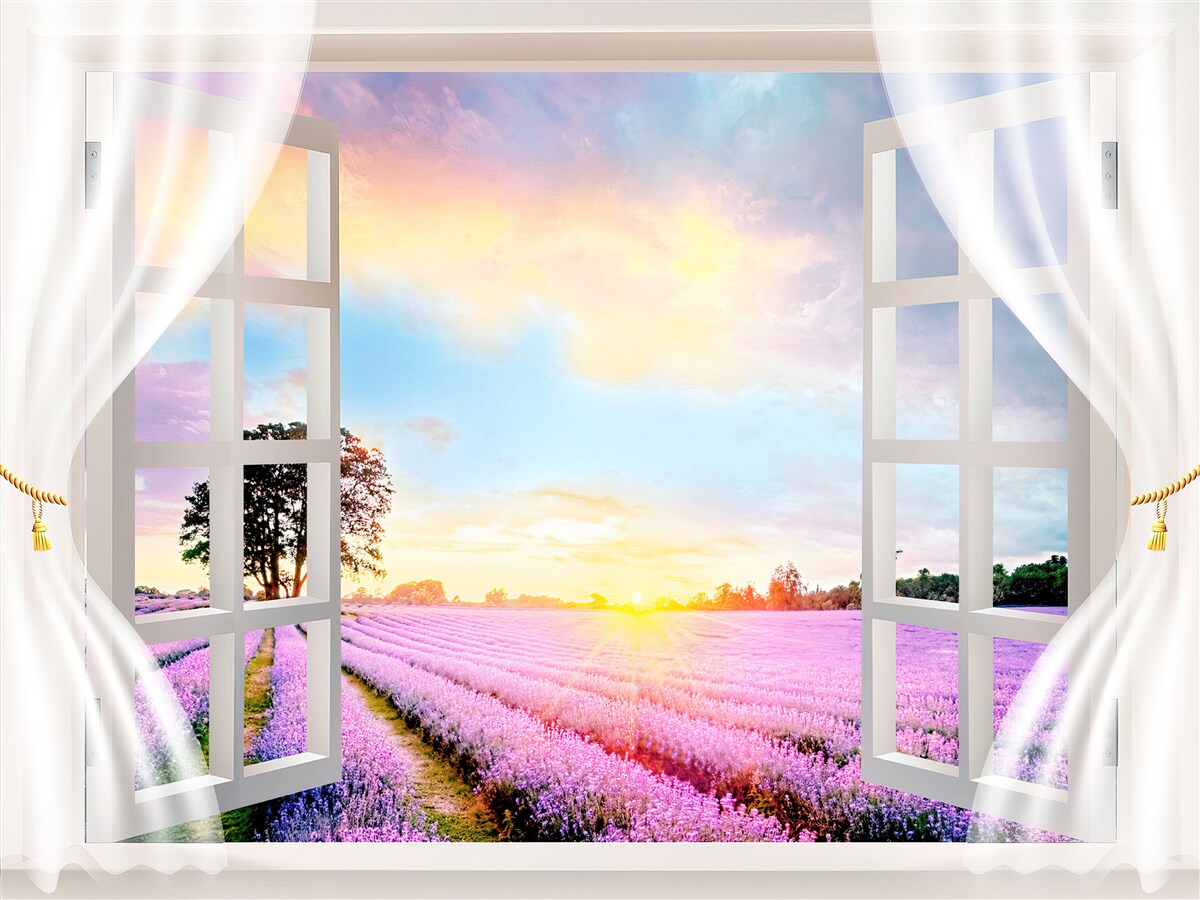 Fotobehang panorama van een lavendelveld vanuit het raam