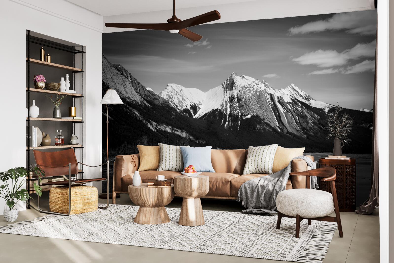 Fotobehang bergen in monochrome tinten