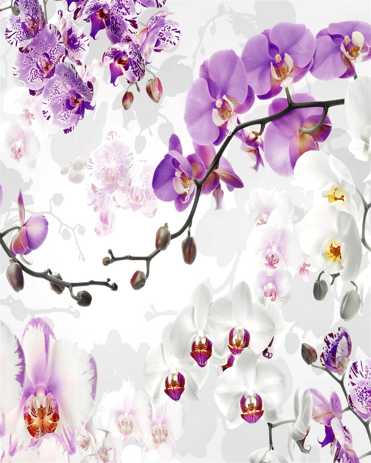 Fotobehang tak met bloeiende paarse orchideeën