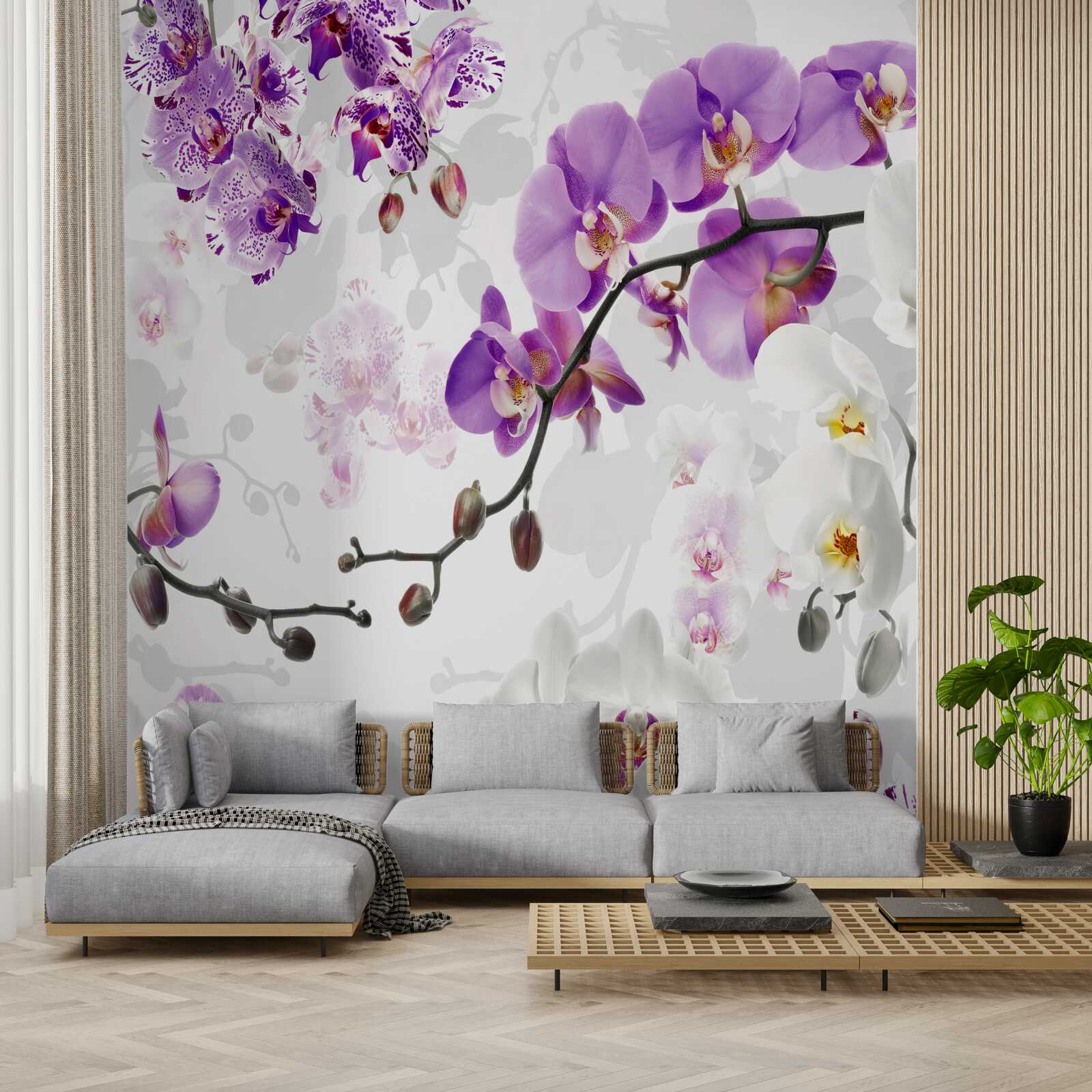 Fotobehang tak met bloeiende paarse orchideeën