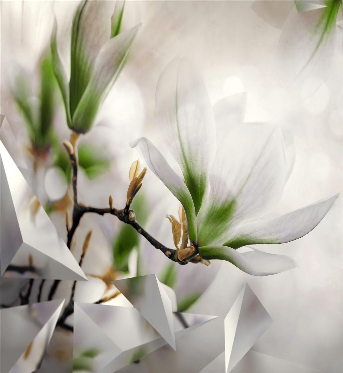 Fotobehang bloemen in witte en groene tinten gecombineerd met geometrische vormen