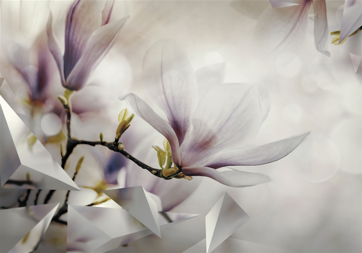 Fotobehang grote lila bloemen en witte vormen