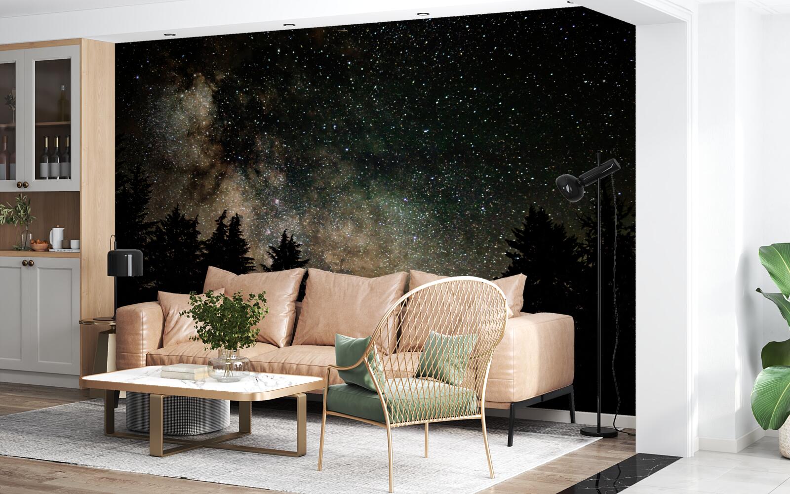 Fotobehang het bos bij nacht en de sterrenhemel