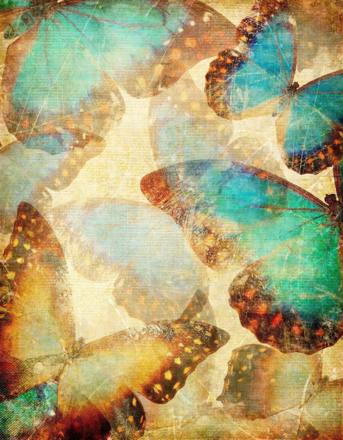 Fotobehang grote motten