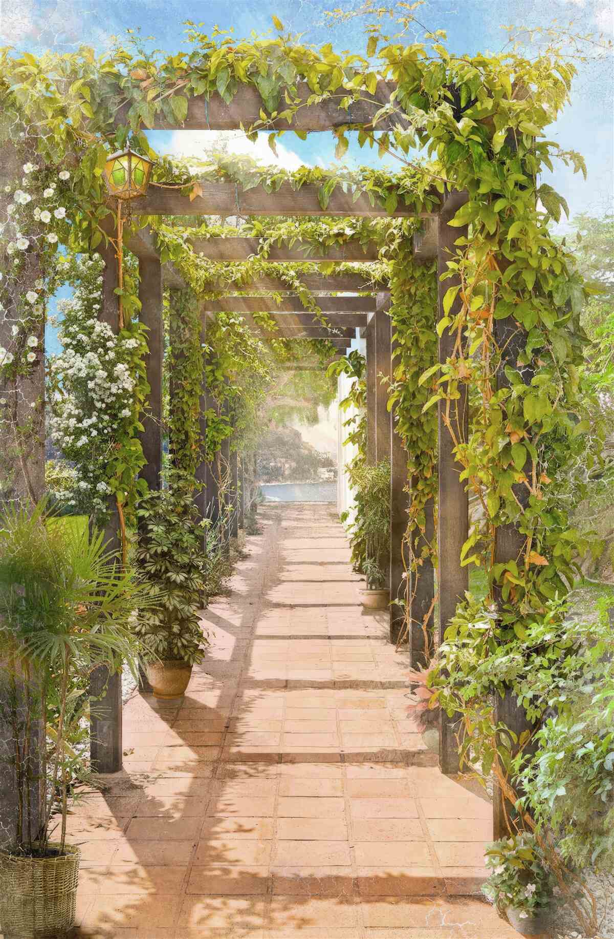 Fotobehang een wirwar van groen oversteken