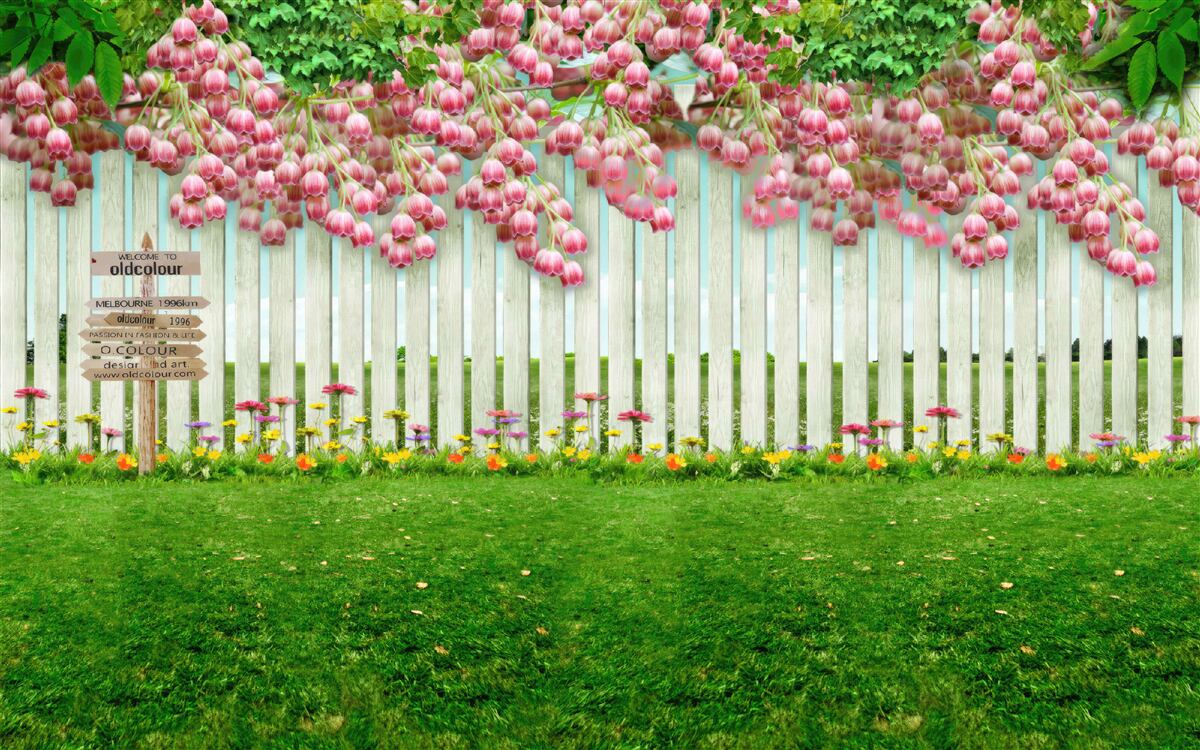 Fotobehang roze bloemen cascade over een wit hek