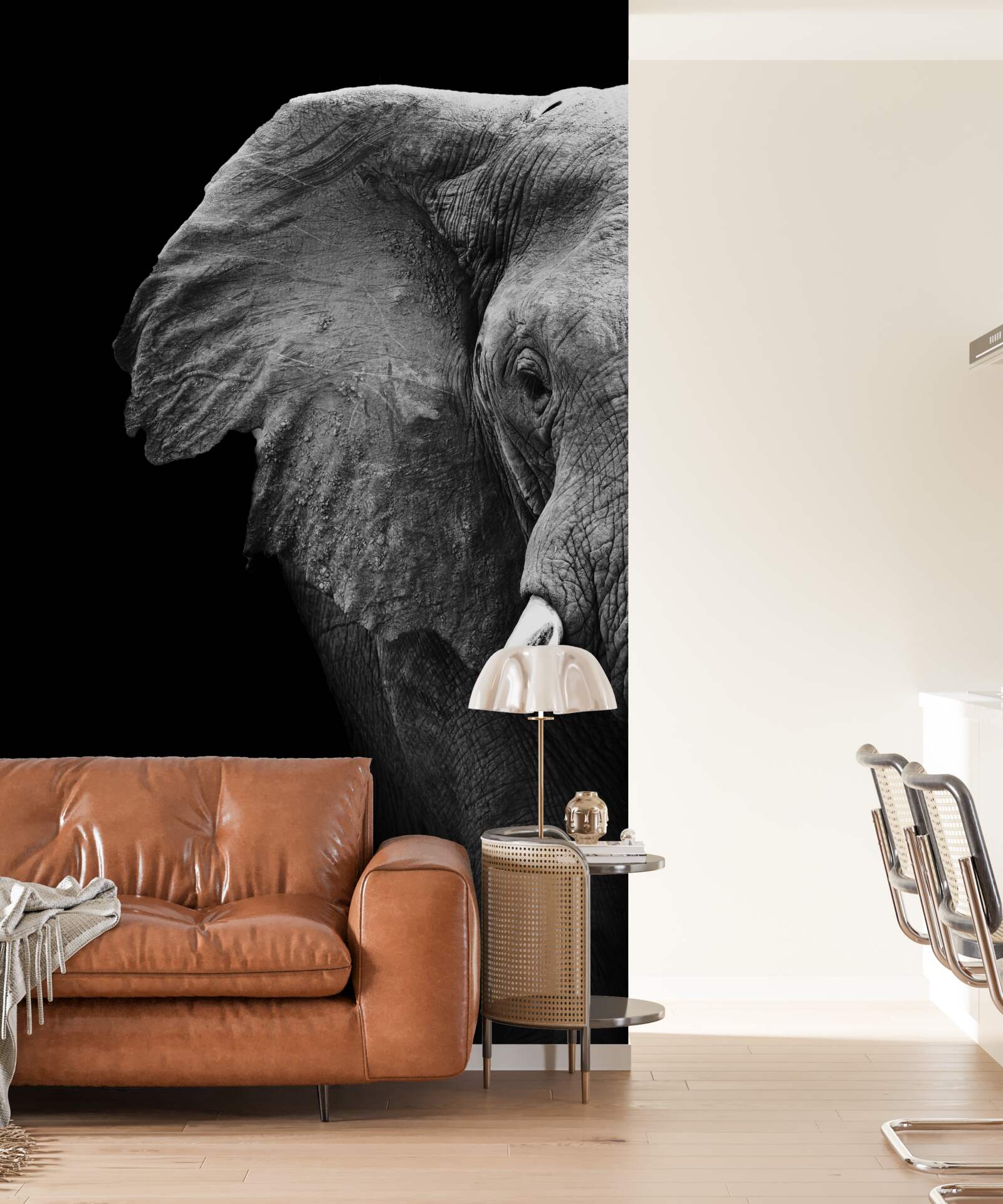 Fotobehang close-up van een olifant op een zwarte achtergrond