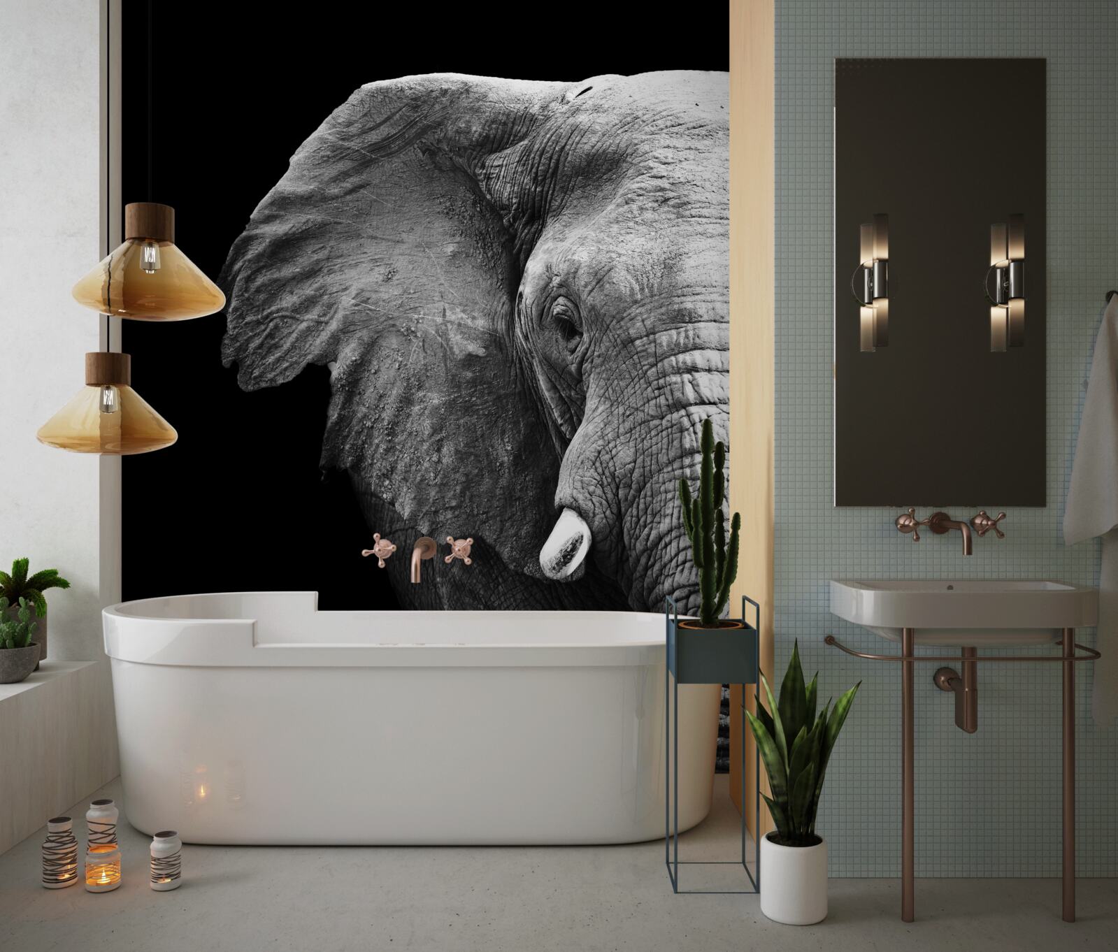 Fotobehang close-up van een olifant op een zwarte achtergrond