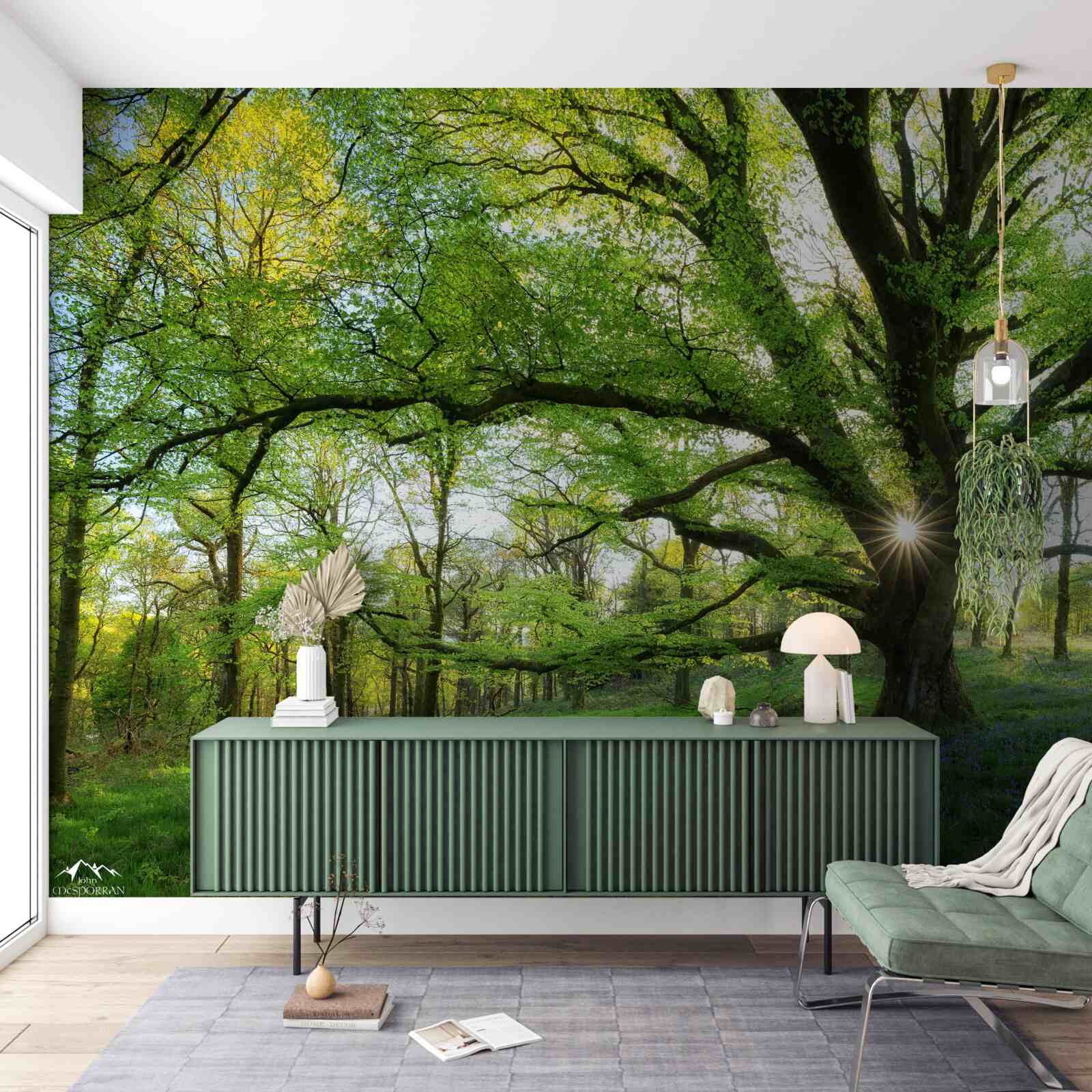 Fotobehang mooi groen bos