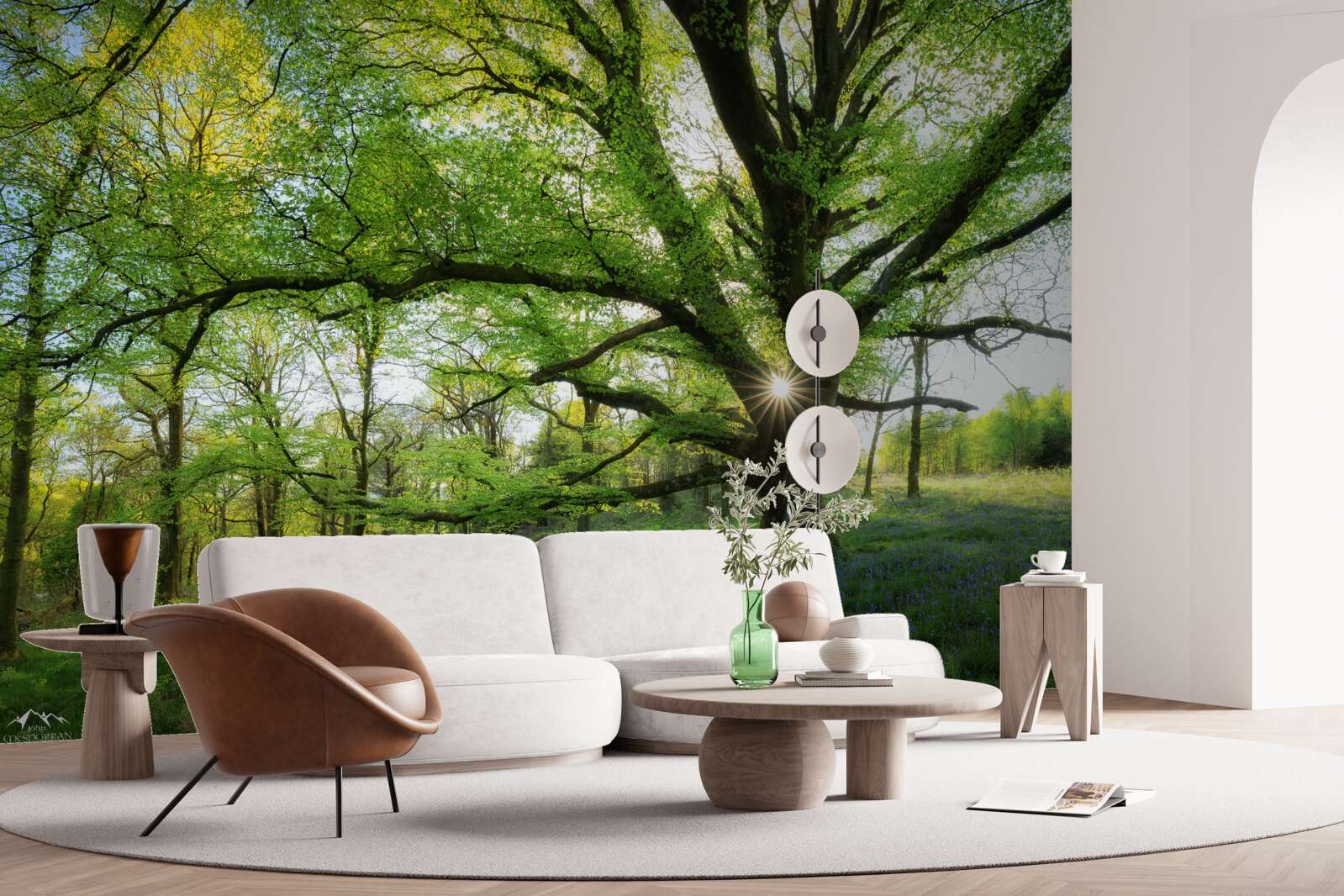 Fotobehang mooi groen bos