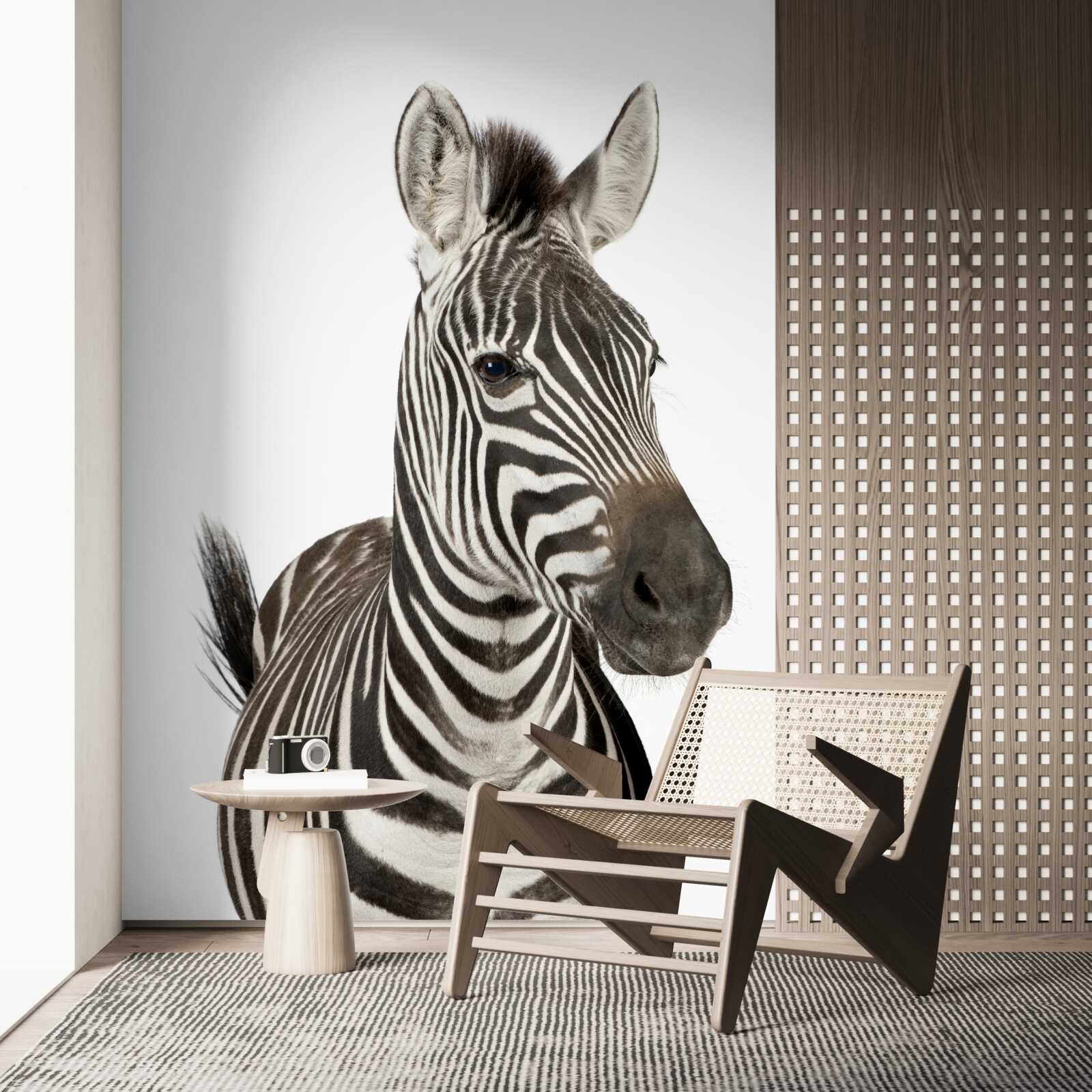 Fotobehang afbeelding van een zebra