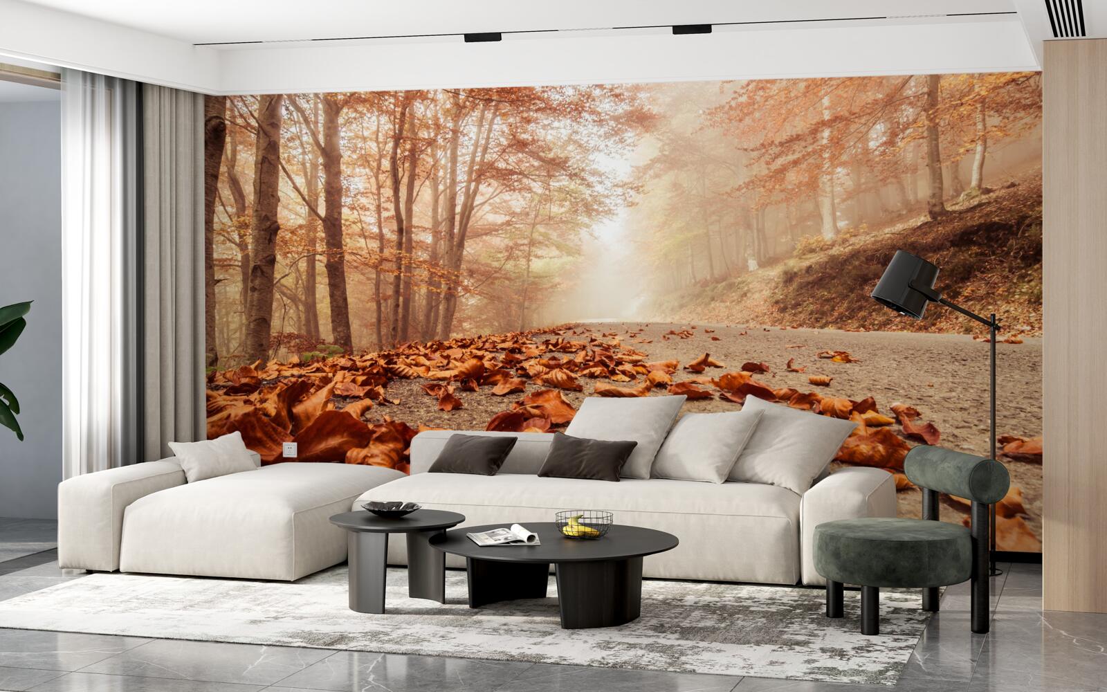 Fotobehang de bladeren liggen als een gouden tapijt