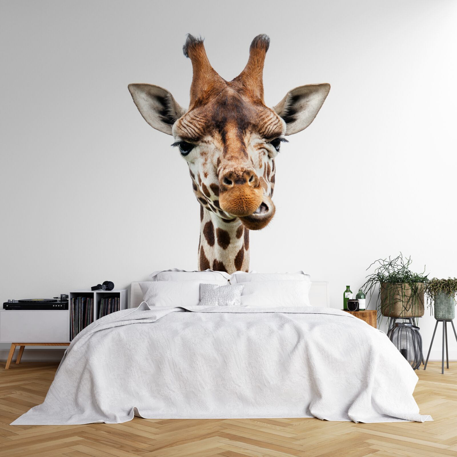 Fotobehang ongewone uitdrukking op het gezicht van een giraffe