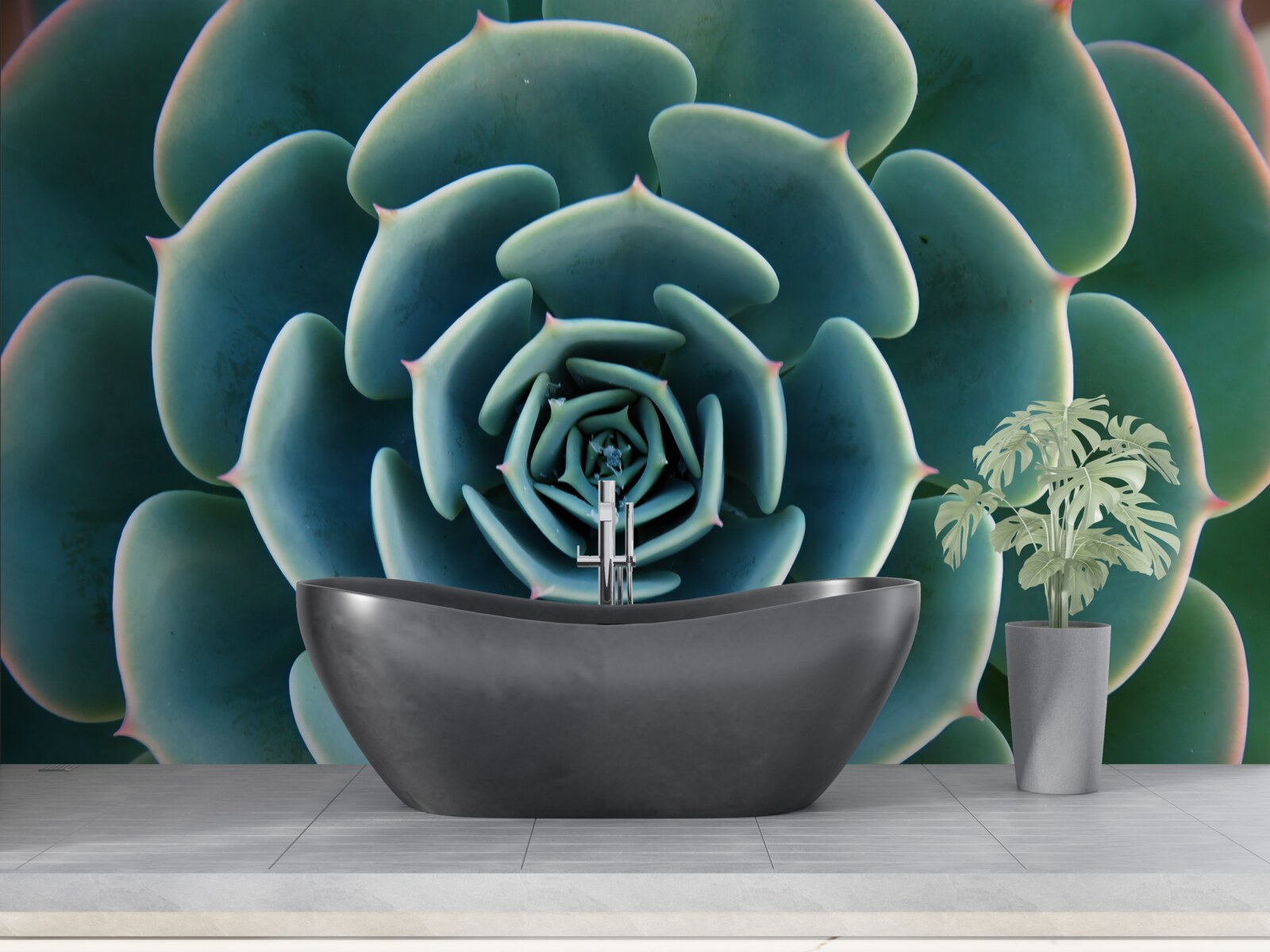 Fotobehang close-up van een vetplant