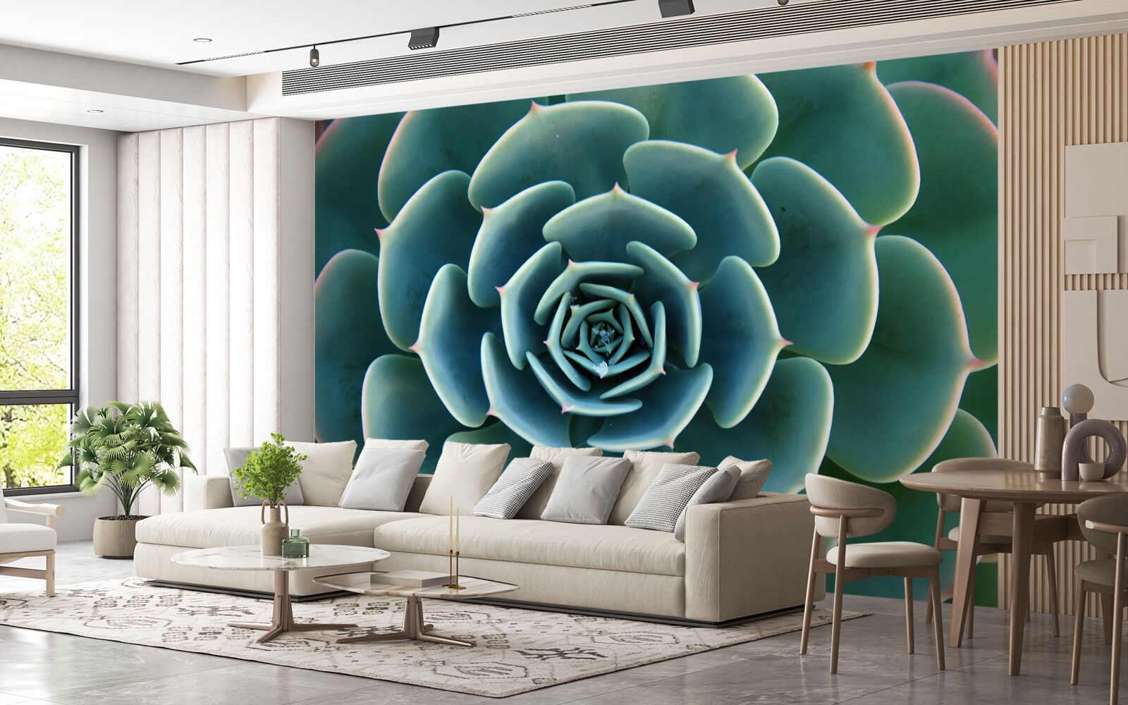 Fotobehang close-up van een vetplant