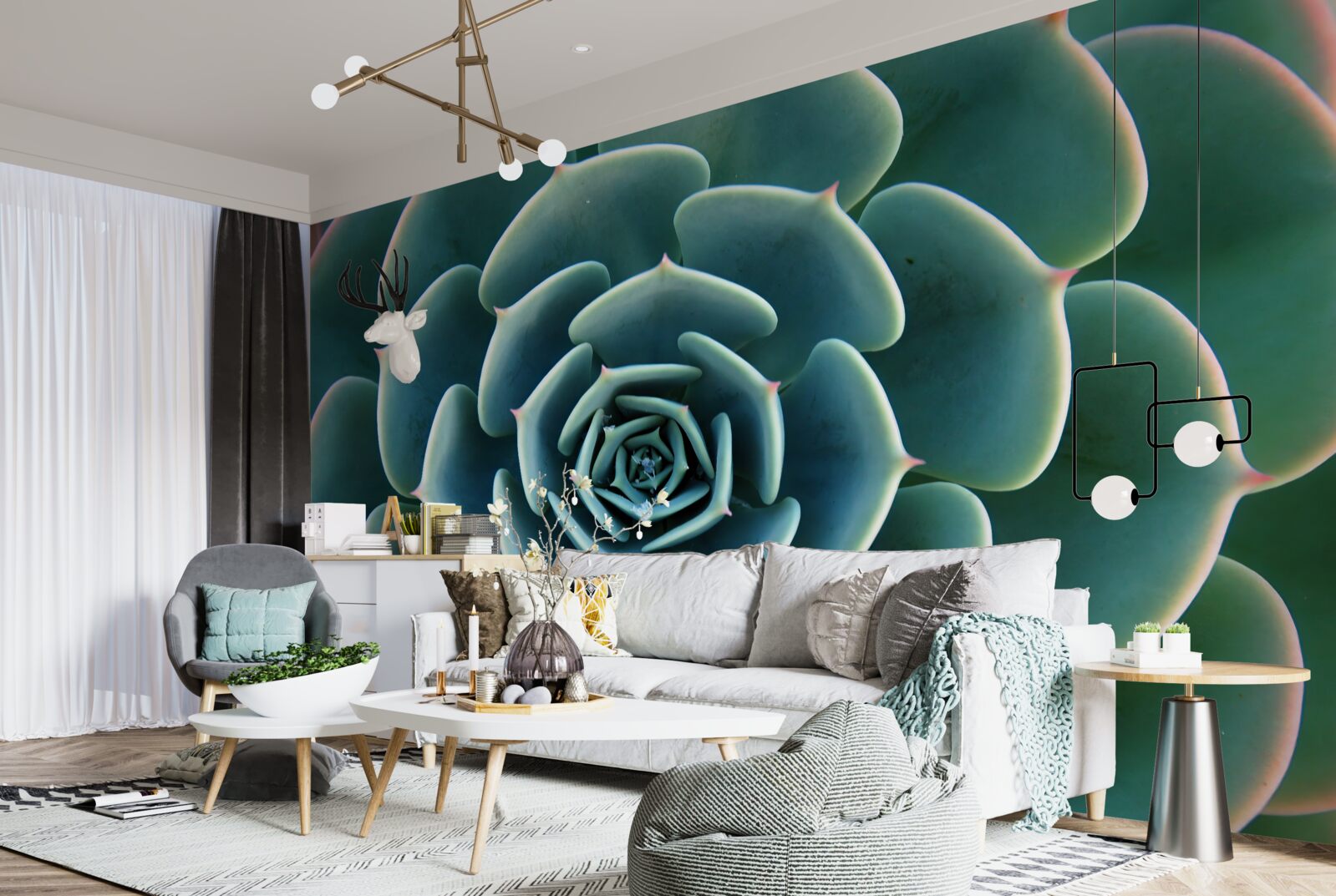 Fotobehang close-up van een vetplant