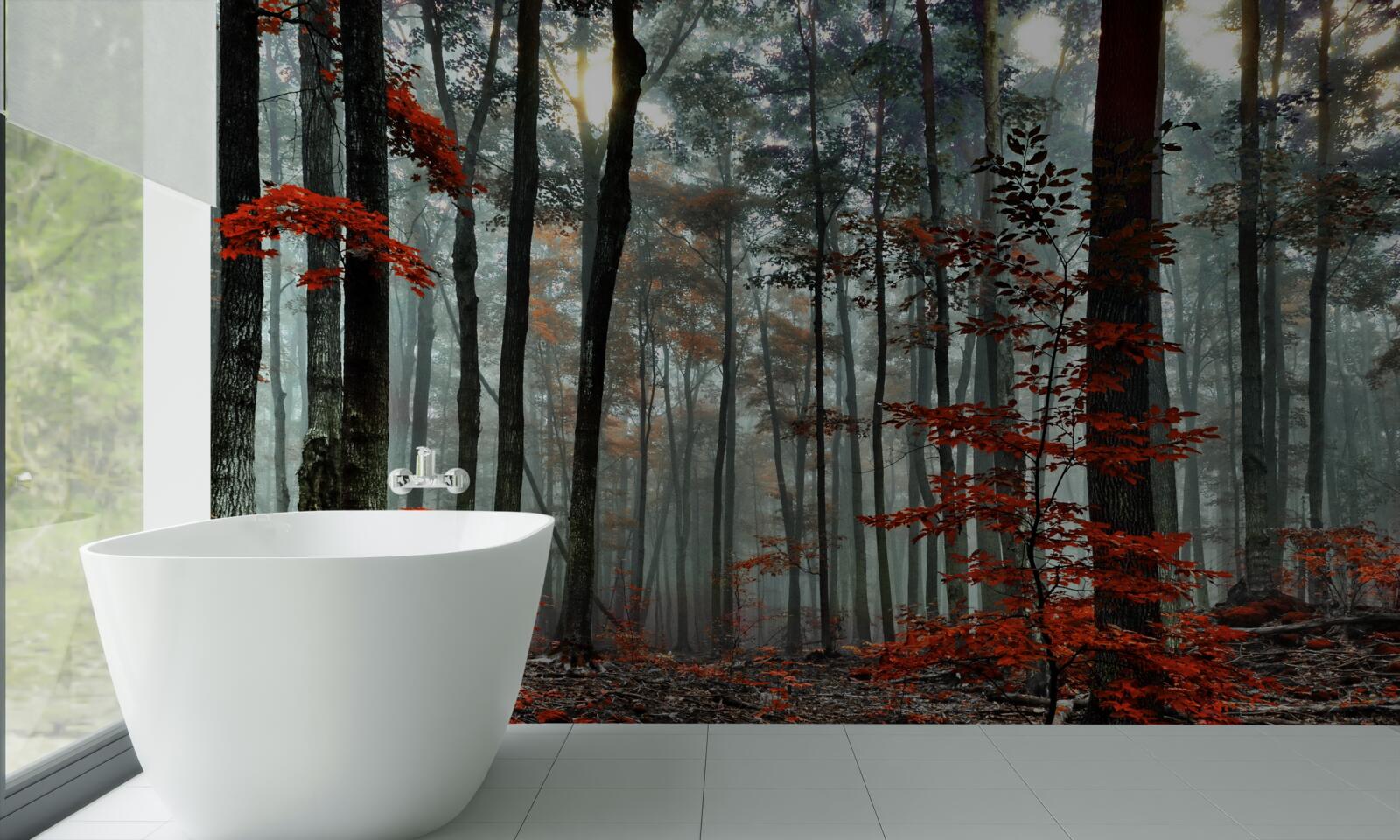 Fotobehang bos zonder bladeren in de herfst