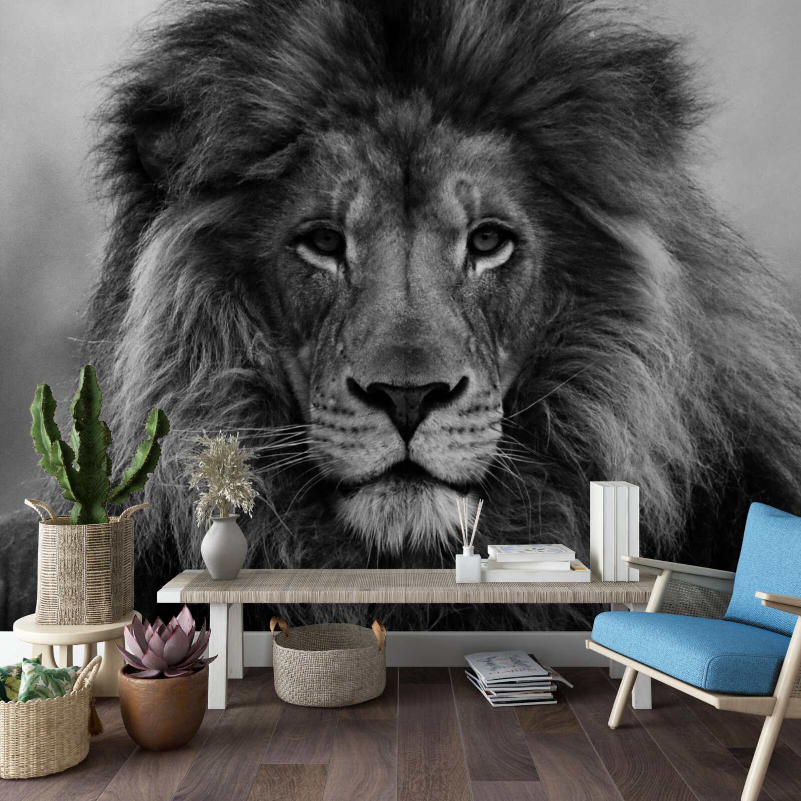 Fotobehang beeld van een volwassen leeuw