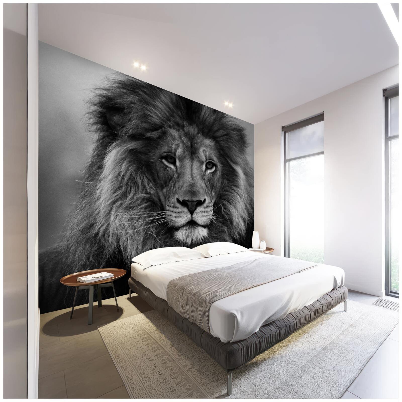 Fotobehang beeld van een volwassen leeuw