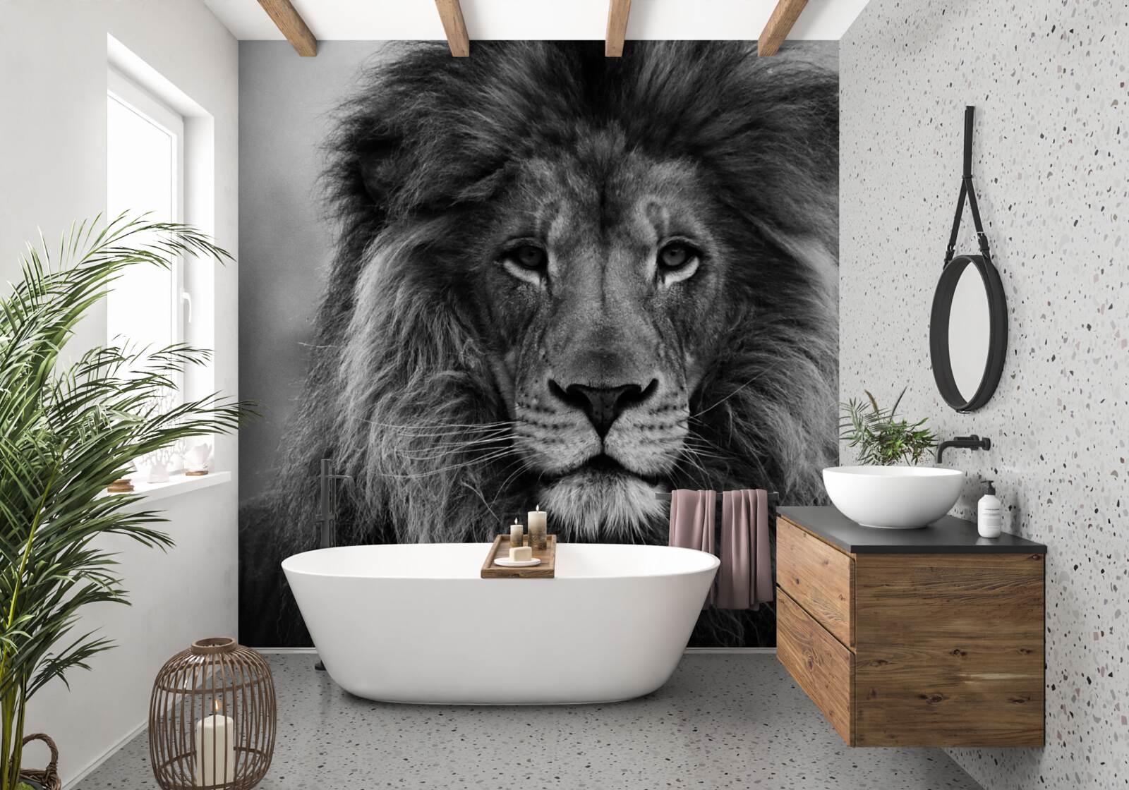 Fotobehang beeld van een volwassen leeuw