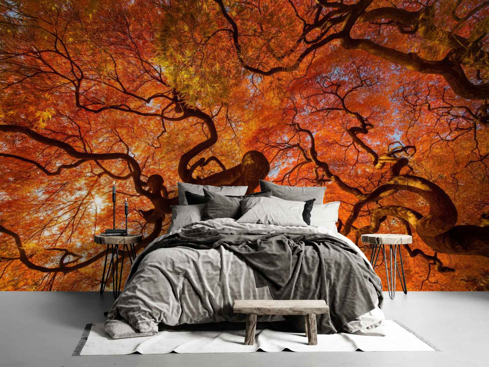 Fotobehang Onderaanzicht van de boom in de herfst