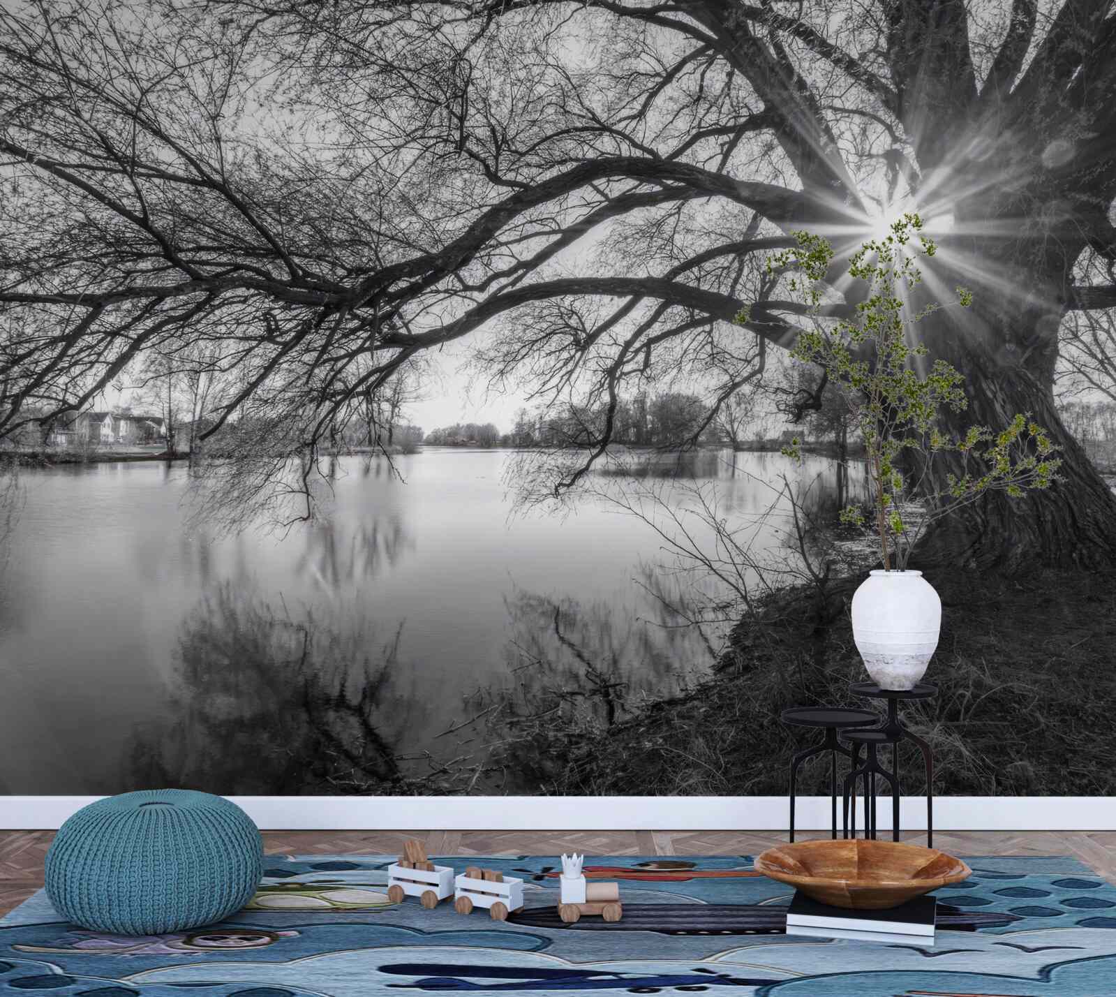 Fotobehang een zonnestraal prikt door de takken van een boom bij het water