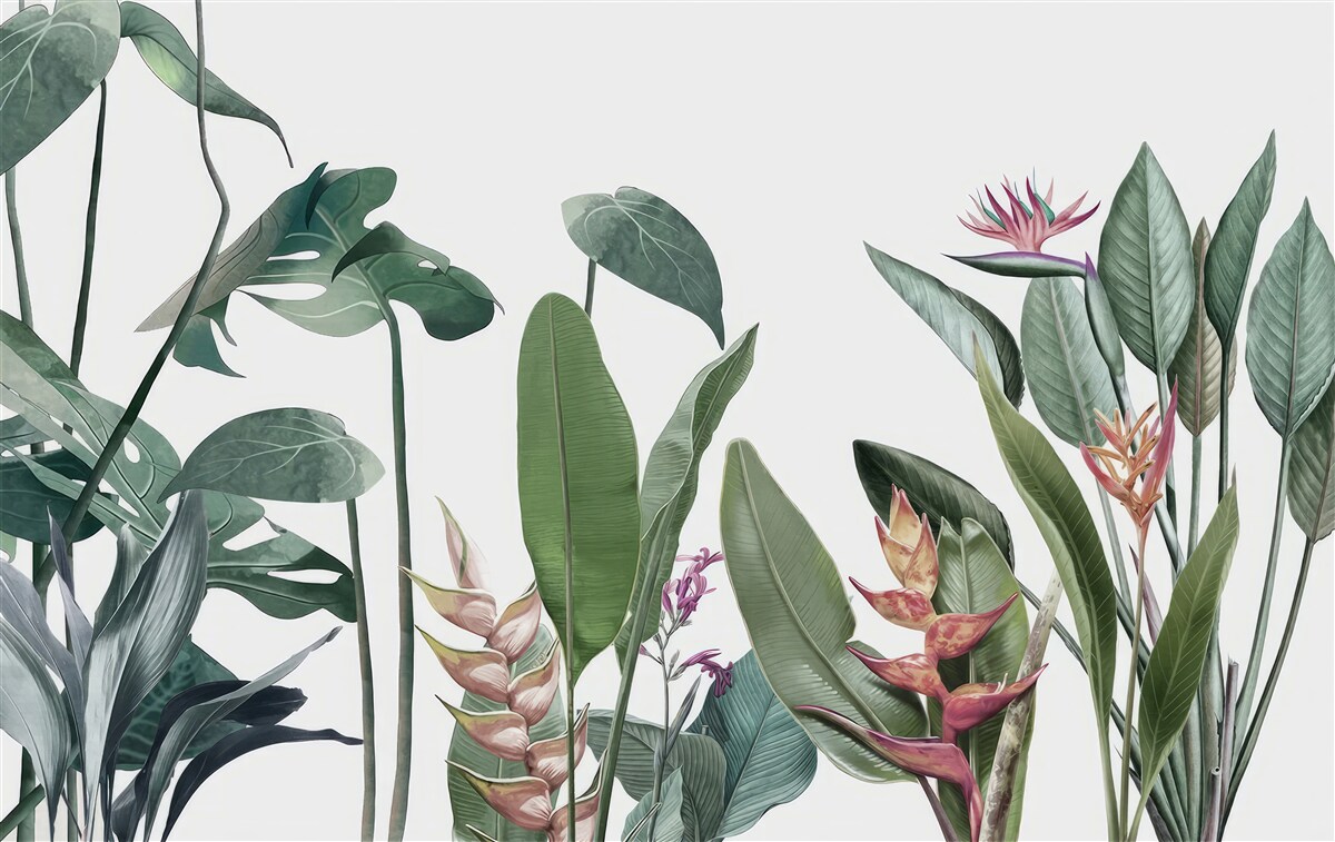 Fotobehang bladeren van diverse tropische planten