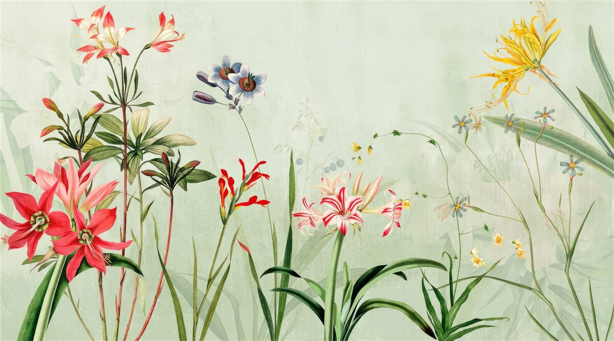 Fotobehang de mist bedekte de bloemen