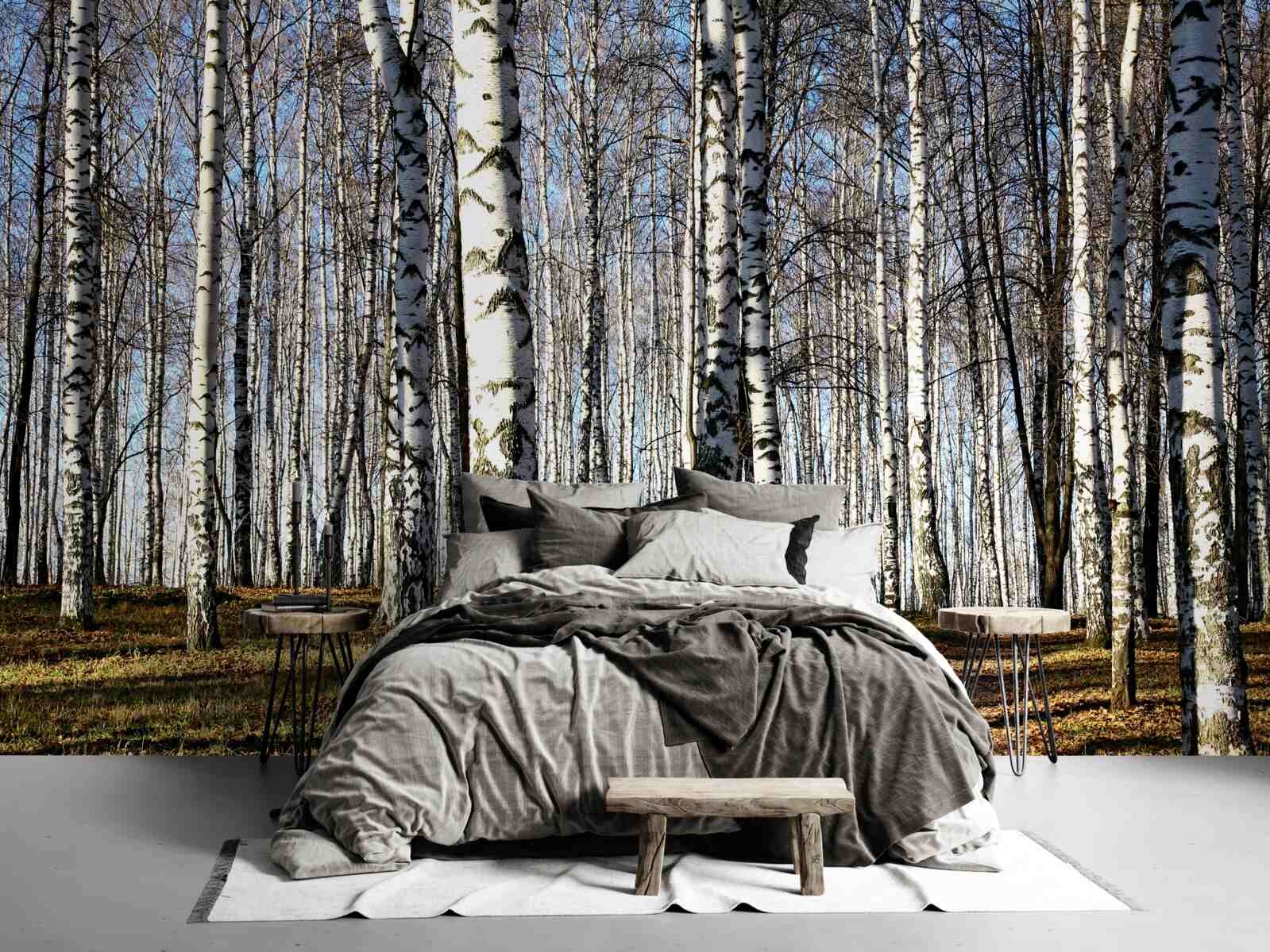 Fotobehang de bladeren zijn van de bomen gevallen