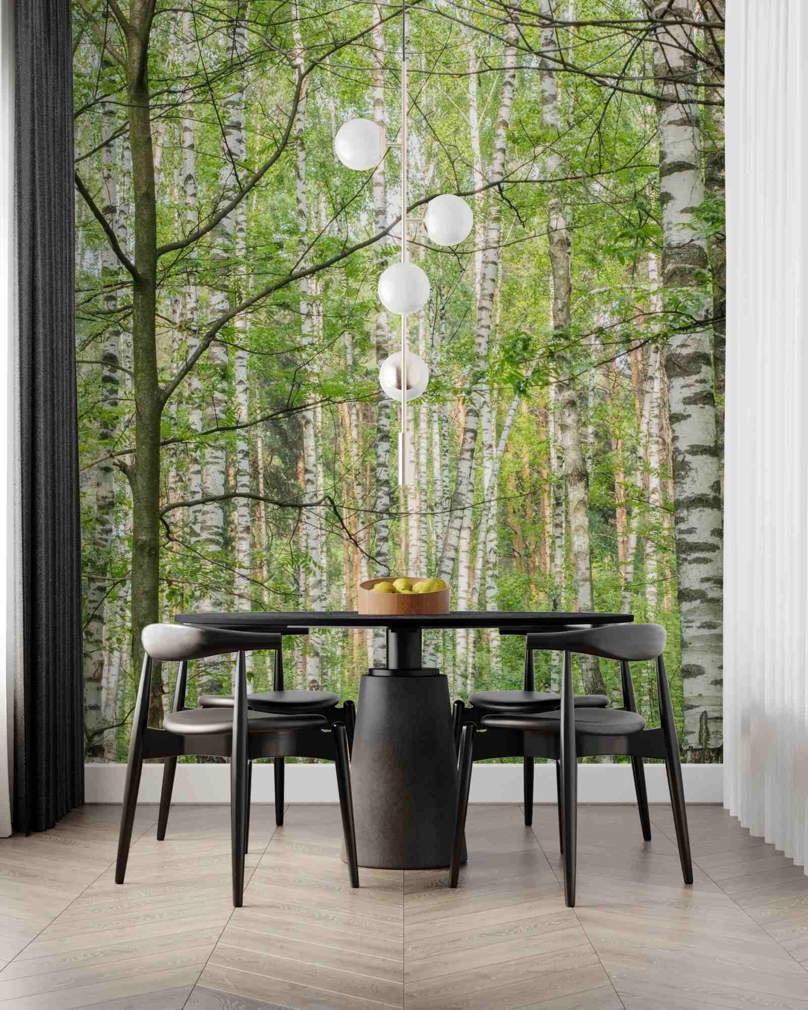 Fotobehang bos dicht begroeid met berken