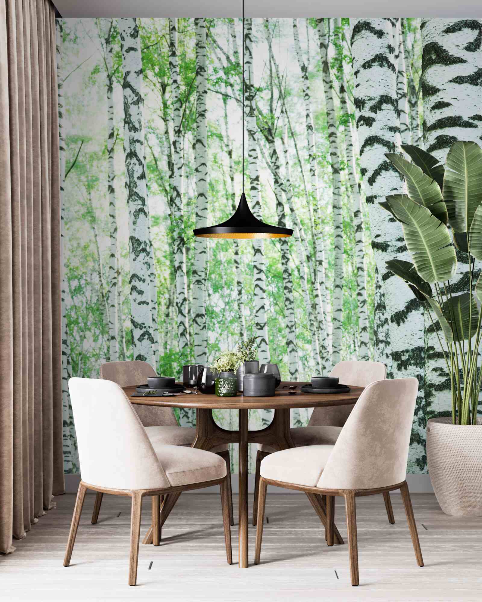 Fotobehang lichte berken