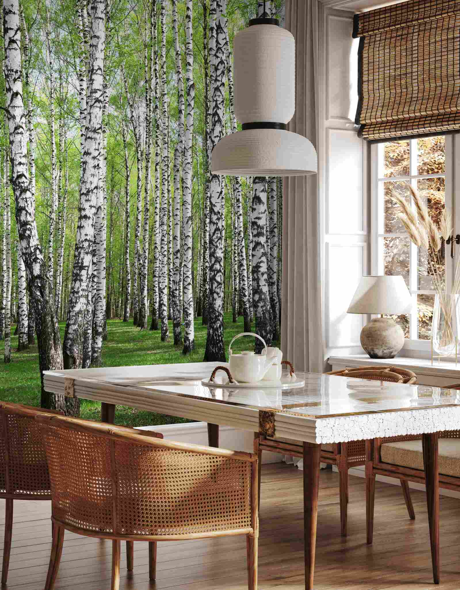 Fotobehang prachtig berkenbos