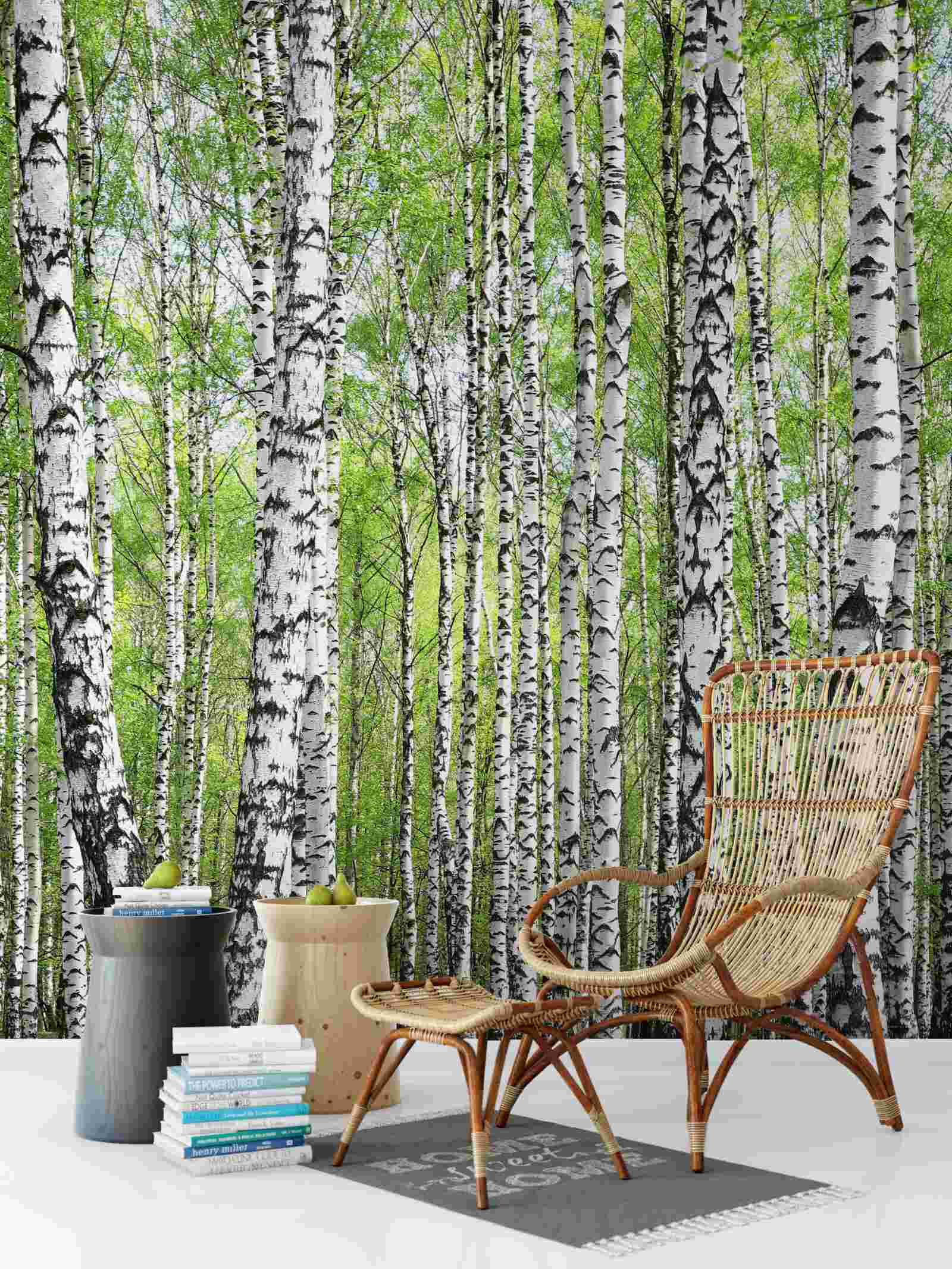 Fotobehang prachtig berkenbos