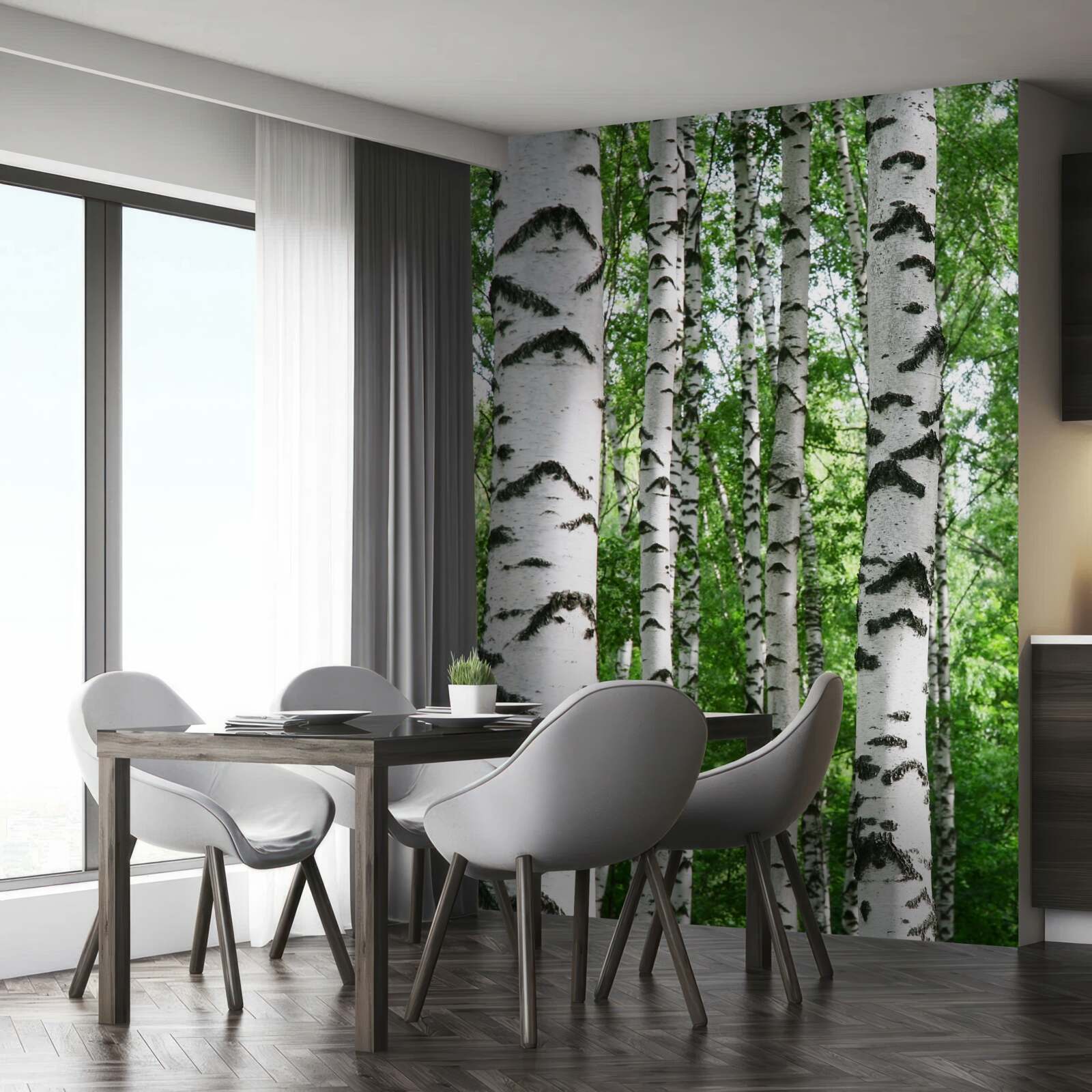 Fotobehang rijen van slanke berken