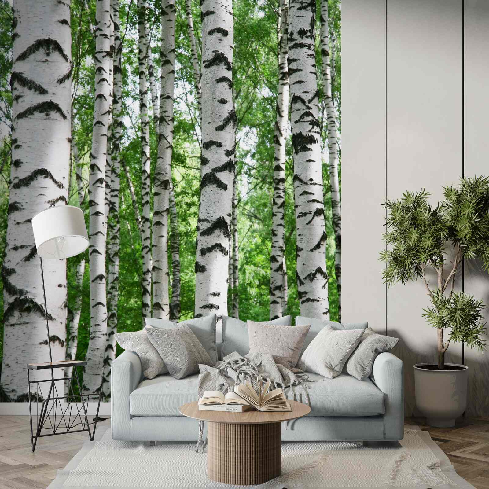 Fotobehang rijen van slanke berken