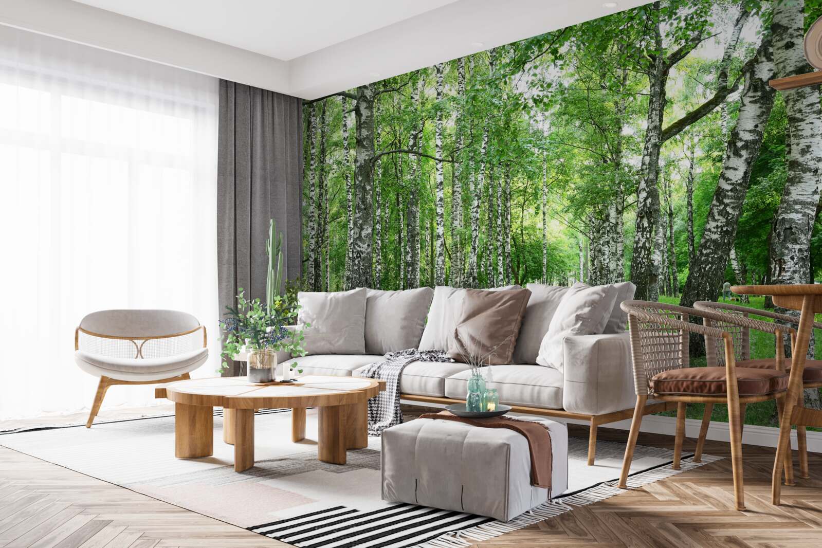 Fotobehang pad dat naar het bos leidt