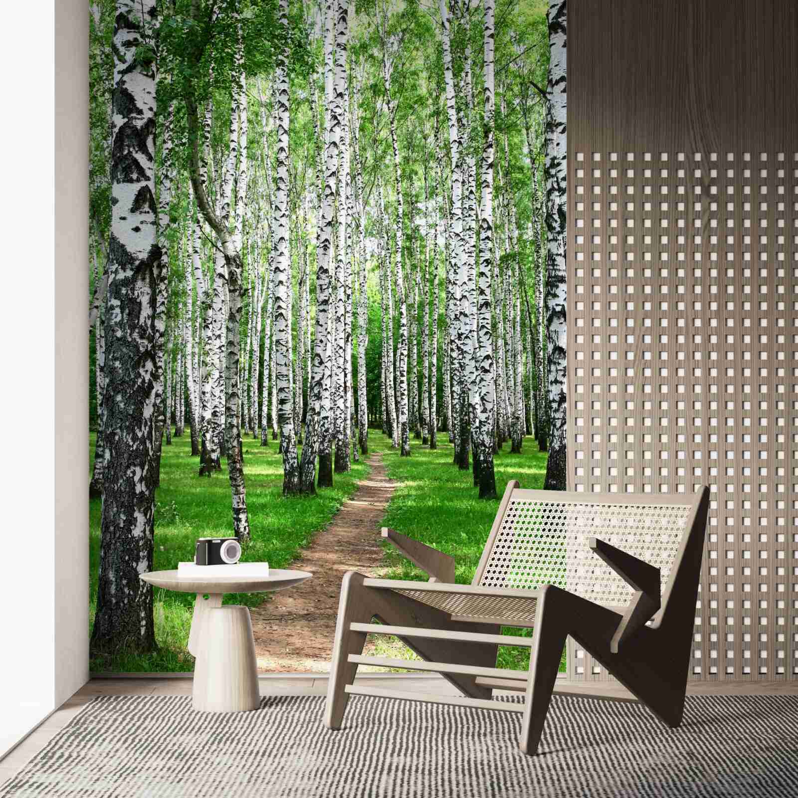 Fotobehang pad tussen de berken