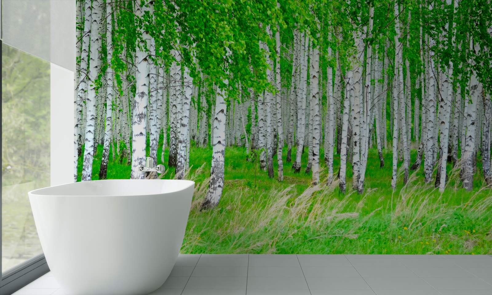 Fotobehang veld met berken op de achtergrond