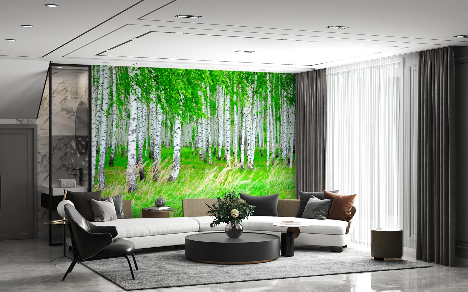 Fotobehang veld met berken op de achtergrond