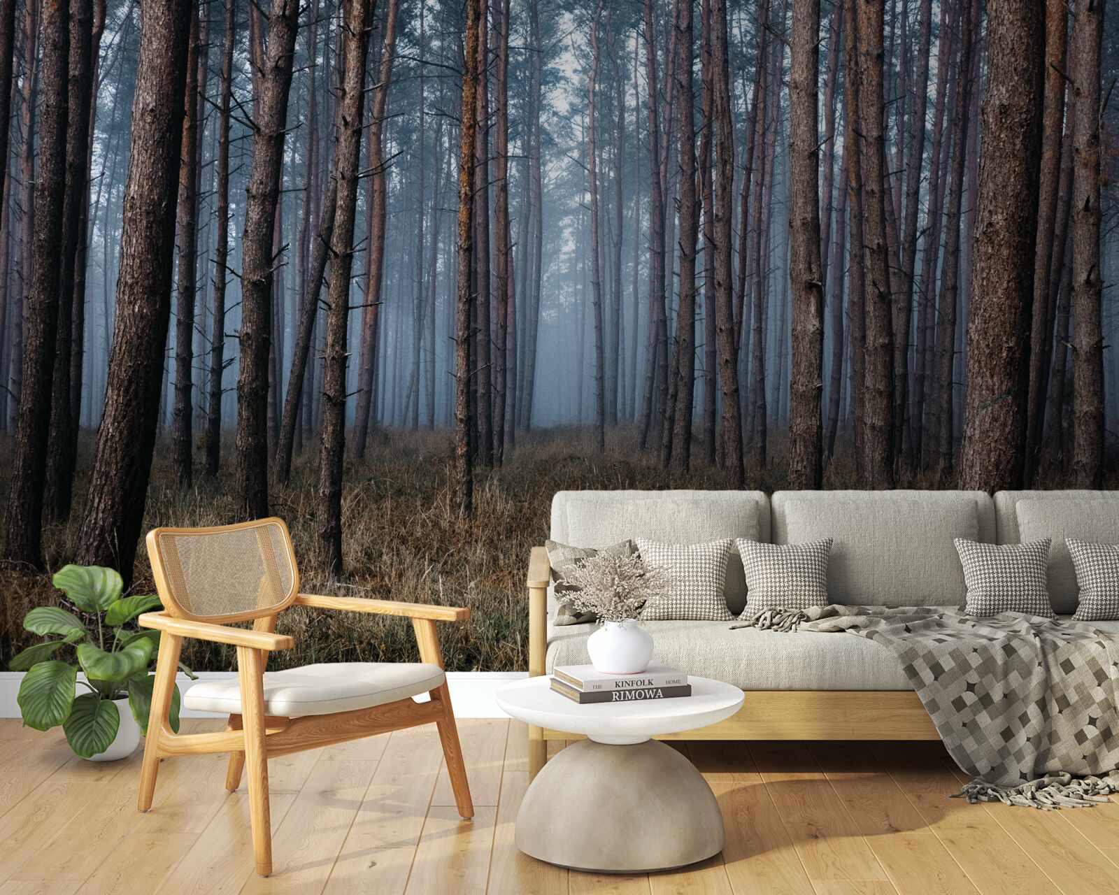 Fotobehang donker dennenbos