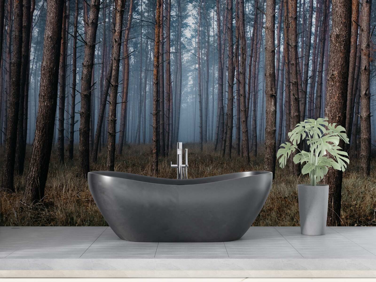 Fotobehang donker dennenbos