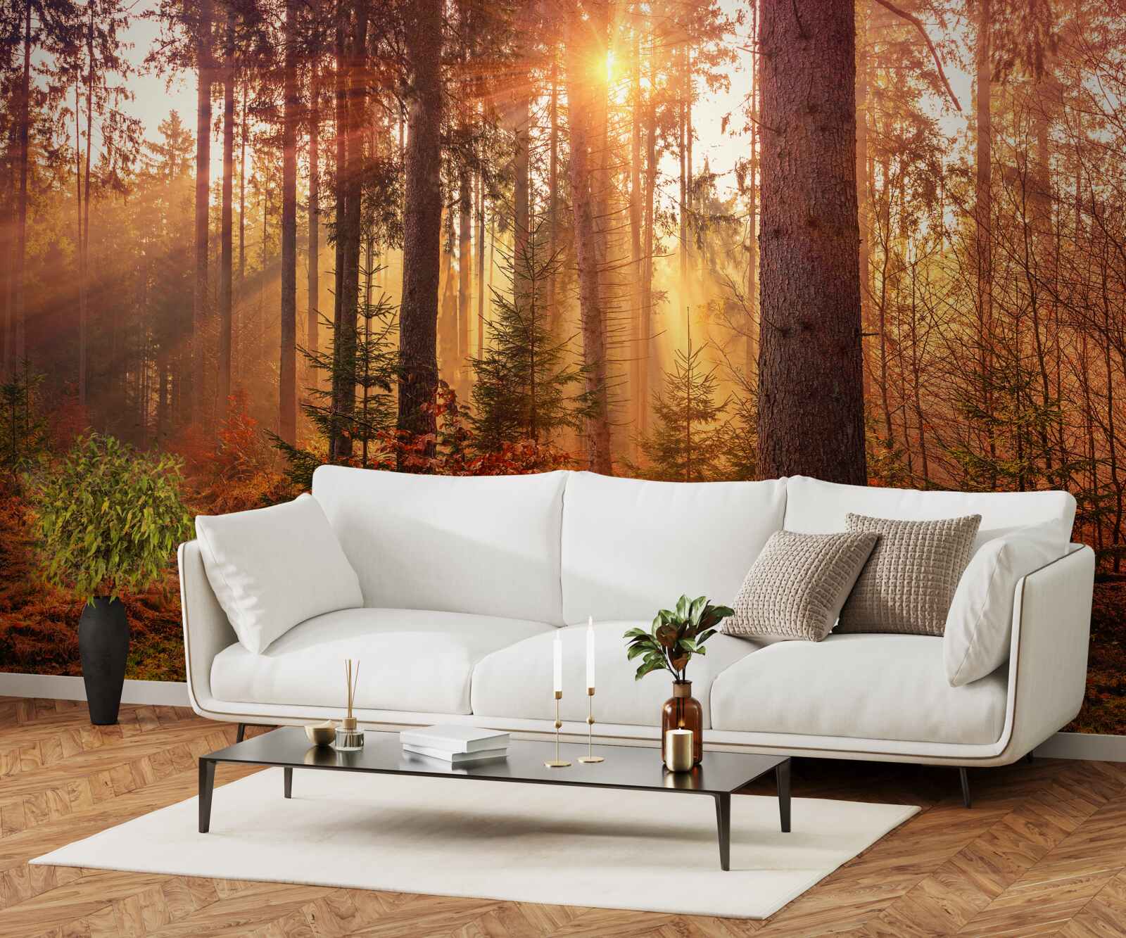 Fotobehang bos in herfst verlicht door zonnestralen