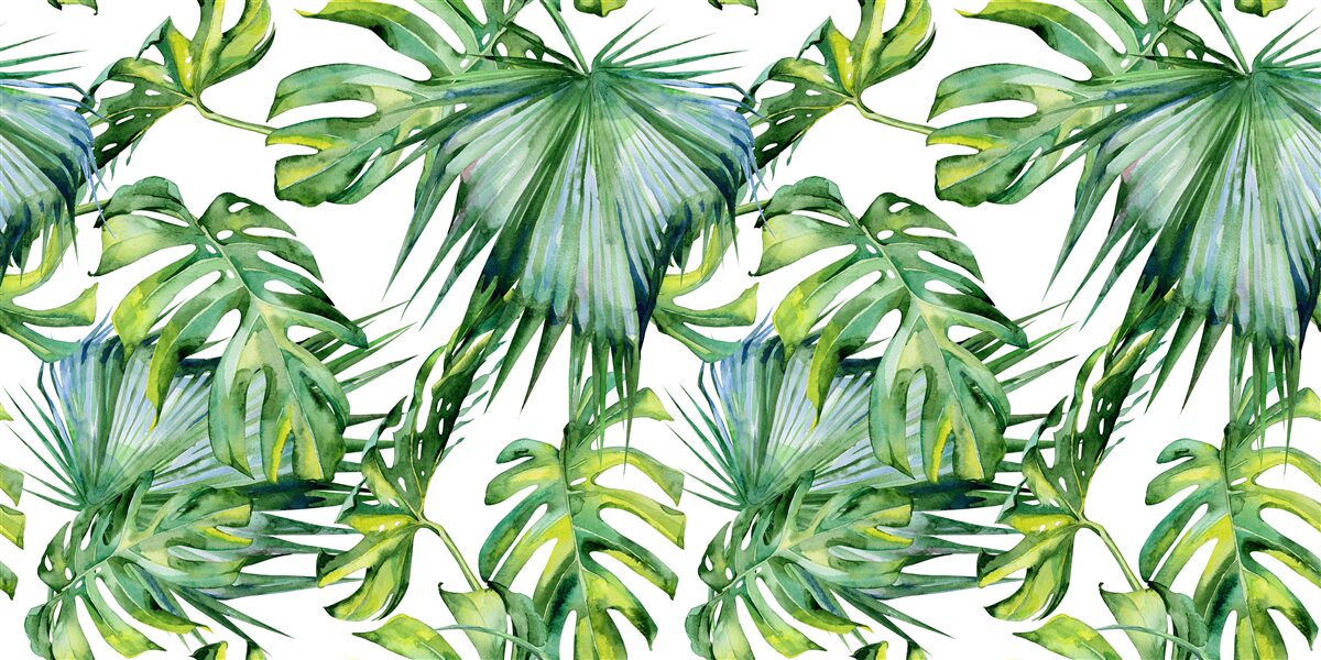 Fotobehang grote verscheidenheid aan groene planten