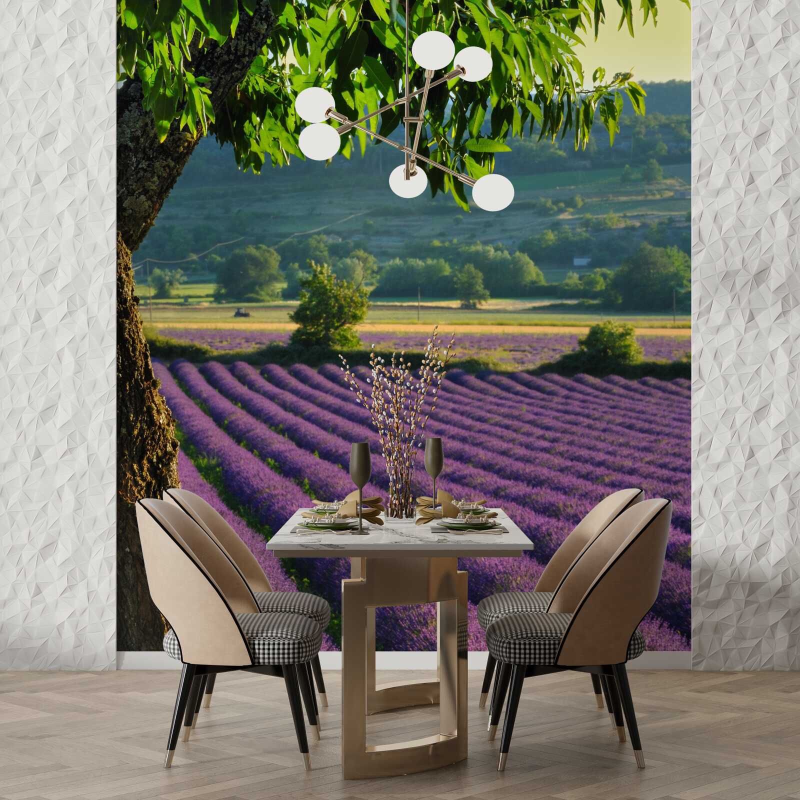 Fotobehang een veld geparfumeerd met lavendel